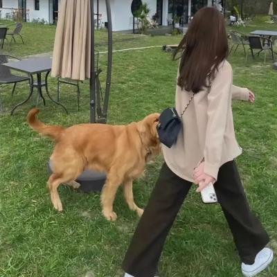 我们大家的河合庄